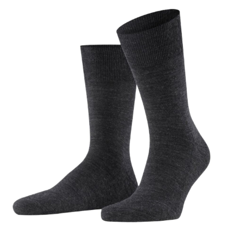 Airport - Wool blend - Koks - 6-pack