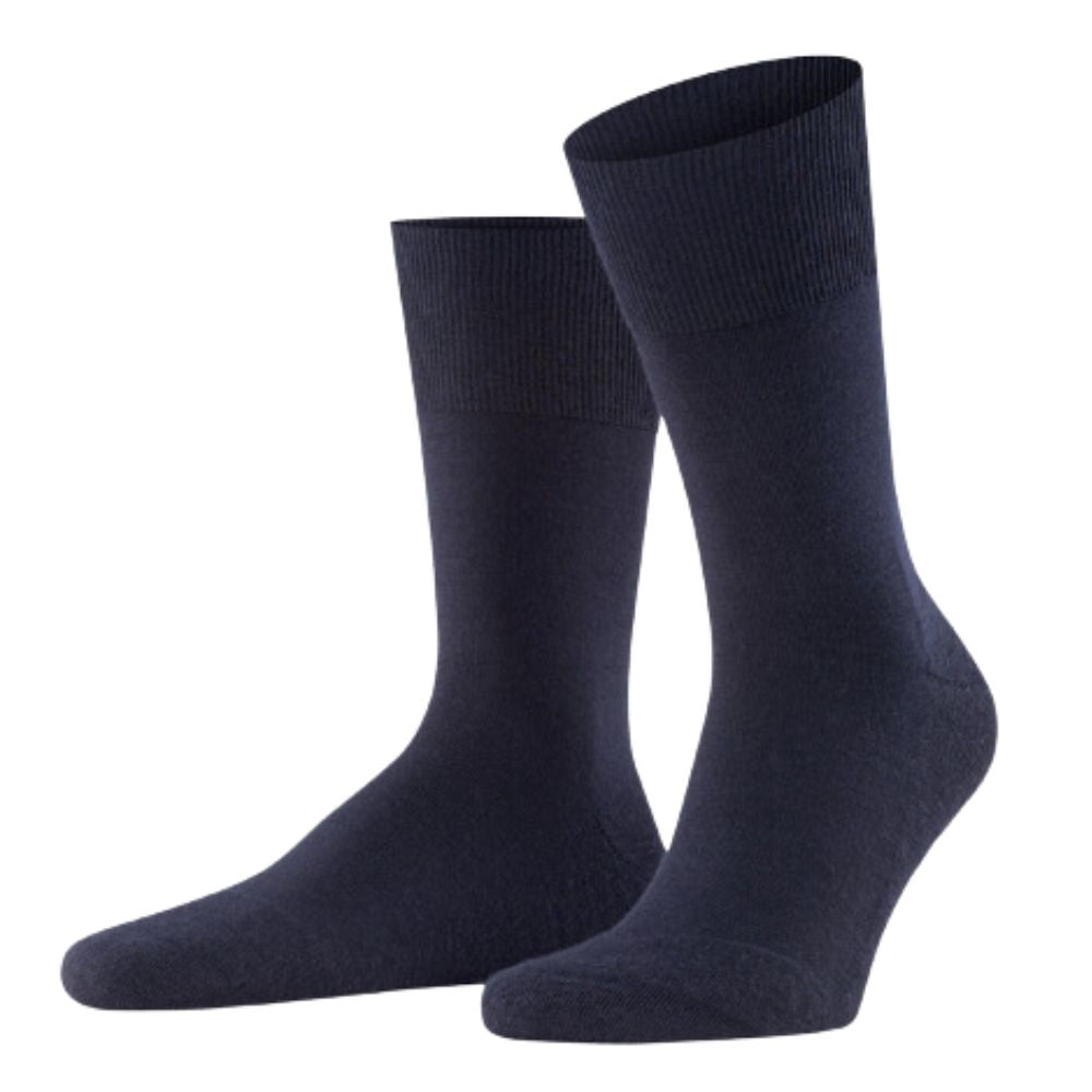 Airport - Wool blend - Navy - 6-pack